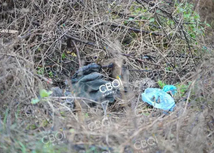 На Дніпропетровщині собака принесла додому ногу людини