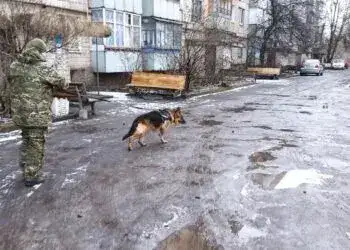 У Кривому Розі затримали підозрюваного, який стріляв по багатоповерхівці з гранатомета