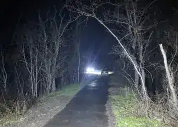 У Кривому Розі поліція завадила нападнику зґвалтувати жінку