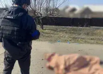 У Дніпропетровській області окупанти вбили 16-річного хлопця