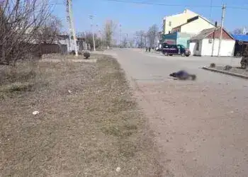 В Офісі Президента відреагували на трагедію в Нікопольському районі