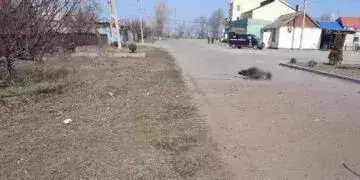 В Офісі Президента відреагували на трагедію в Нікопольському районі