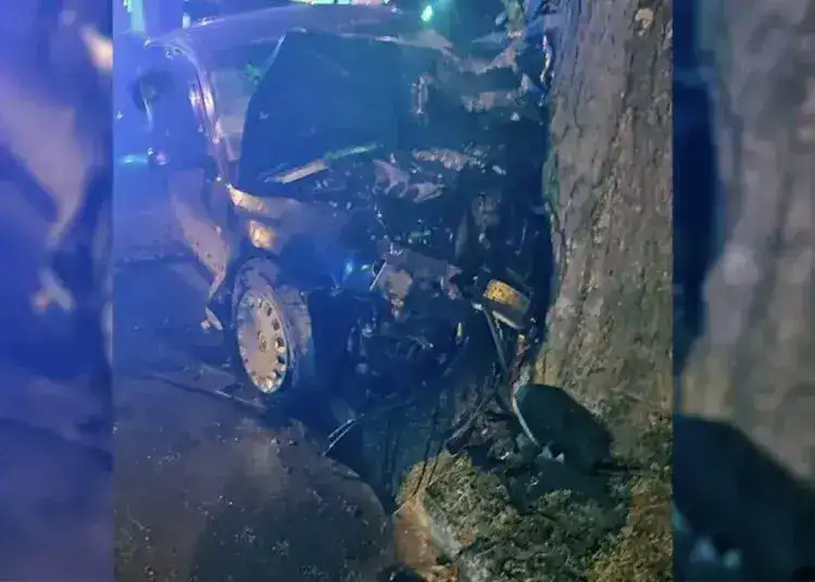 У Камʼянському двоє людей постраждали внаслідок ДТП - авто загорілося