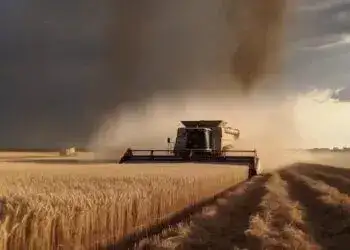Де знайти запчастини та обслуговування сільськогосподарської техніки Case