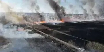Масштабна пожежа у Дніпровському районі - горіли 2 га сухої трави