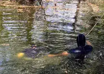 У Дніпрі зі штучної водойми на АНД витягли тіло