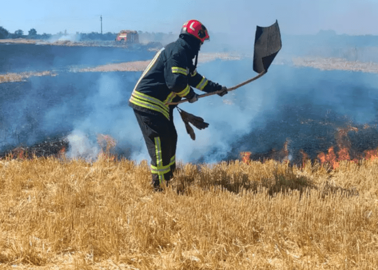 За добу на Дніпропетровщині рятувальники загасили 36 пожеж в екосистемах