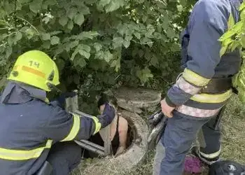 У Кривому Розі жінка впала в каналізаційний колодязь