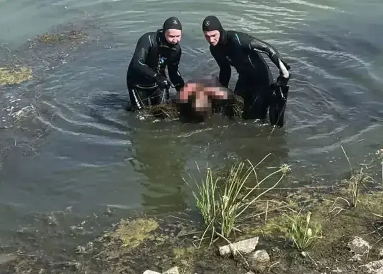 У Павлоградському районі потонув чоловік під час купання в річці