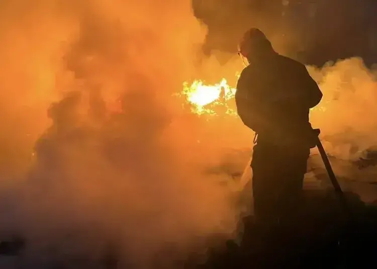 На Дніпропетровщині за добу сталося 58 пожеж в екосистемі