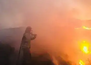 За добу на Дніпропетровщині ліквідували 76 пожеж на відкритих територіях