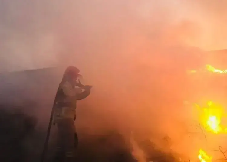 За добу на Дніпропетровщині ліквідували 76 пожеж на відкритих територіях