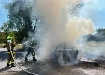 На Дніпропетровщині автомобіль врізався у дерево та загорівся - водія госпіталізовано