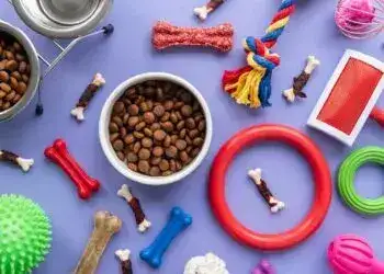 ZooBoom: всі товари для домашніх улюбленців в одному місці