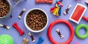 ZooBoom: всі товари для домашніх улюбленців в одному місці