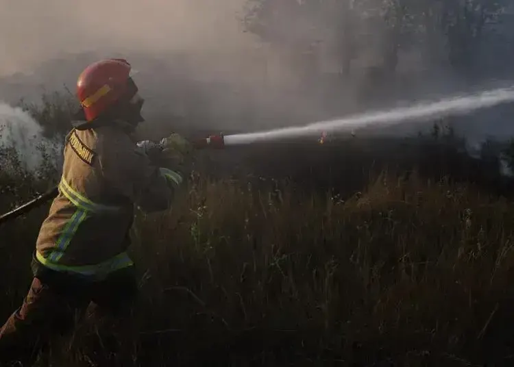 На Дніпропетровщині перекрили дорогу через лісову пожежу