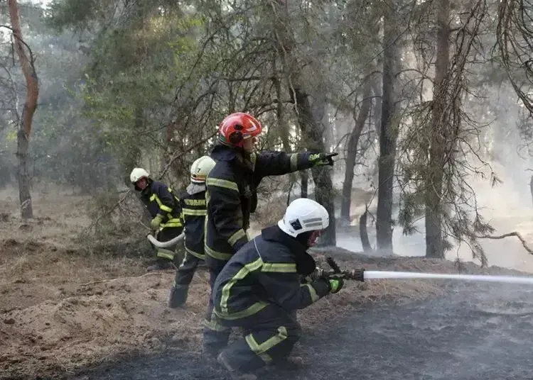 У Дніпровському районі загасили масштабну лісову пожежу