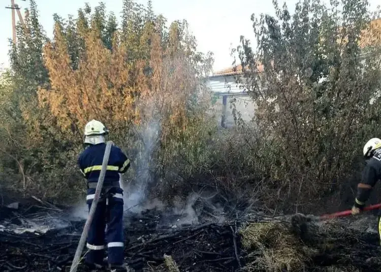 Через пожежу біля садового товариства у Дніпровському районі постраждала жінка