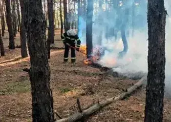 Наступні п'ять днів на Дніпропетровщині зберігатиметься найвищий рівень пожежної небезпеки