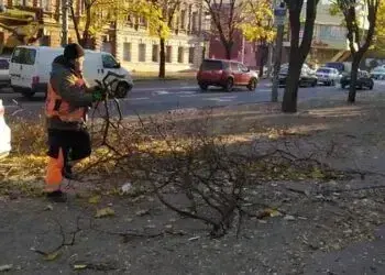 Шквальний вітер наробив лиха у Дніпрі - комунальники ліквідовують наслідки негоди