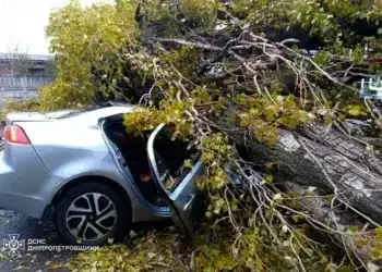 У Нікополі погода повалила дерево на авто та вбила людину