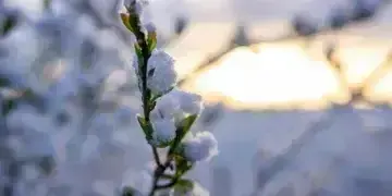 Свята у січні 2025: церковний календар, пам'ятні та визначні дати для України