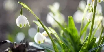 До +20 градусів тепла обіцяють синоптики: де і коли потеплішає?