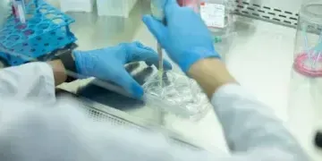 На Дніпропетровщині підтверджено грип типу А, В, парагрип, риновірус і аденовірус