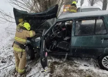 У Дніпровському районі авто врізалось у дерево, а людей затиснуло у салоні