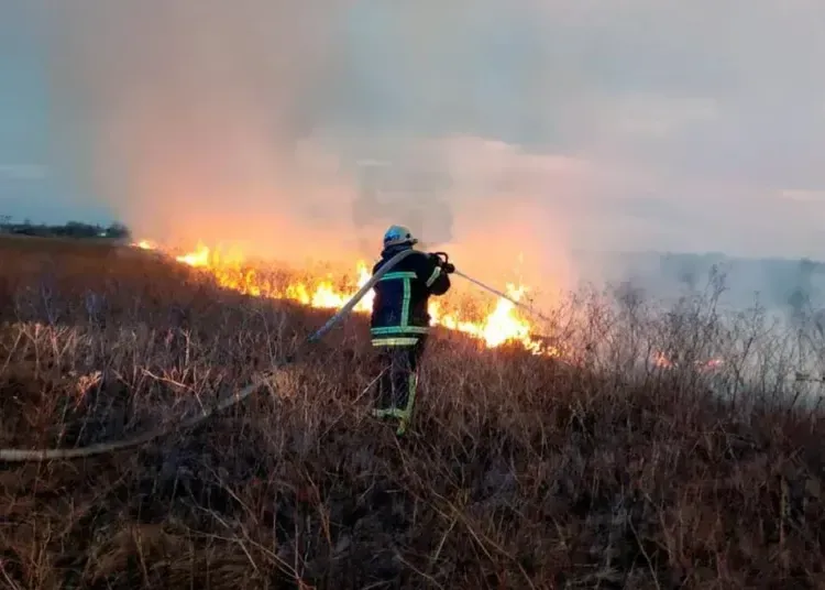 За добу на Дніпропетровщині сталося більше 50 пожеж