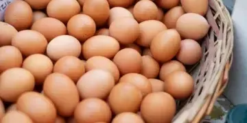 Після Великодня яйця впадуть у ціні - експерт