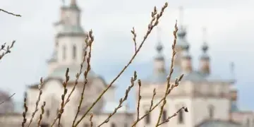 З Вербною неділею 2025: щирі привітання у картинках і листівках