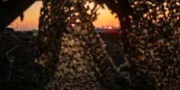 Росіяни отримали наказ вийти на кордон Дніпропетровщини до 9 травня