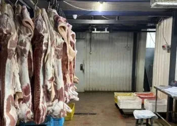 Викидали туші померлих тварин у селі на Дніпропетровщині: хто за цим стоїть