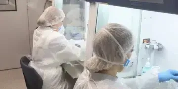 У Кривому Розі двоє підлітків отруїлися вареними дикорослими грибами
