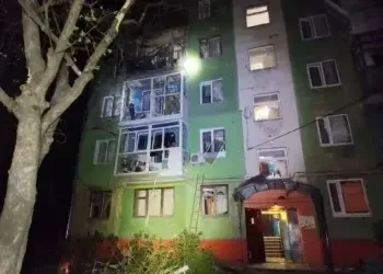 Дніпропетровщина під атакою ворога: загинули 500 свійських тварин