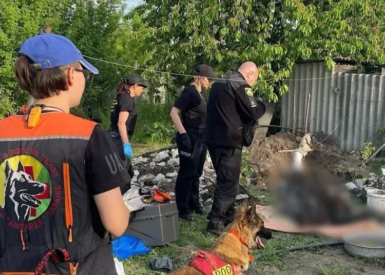 На Дніпропетровщині чоловік задушив власну матір, а тіло залив бетоном