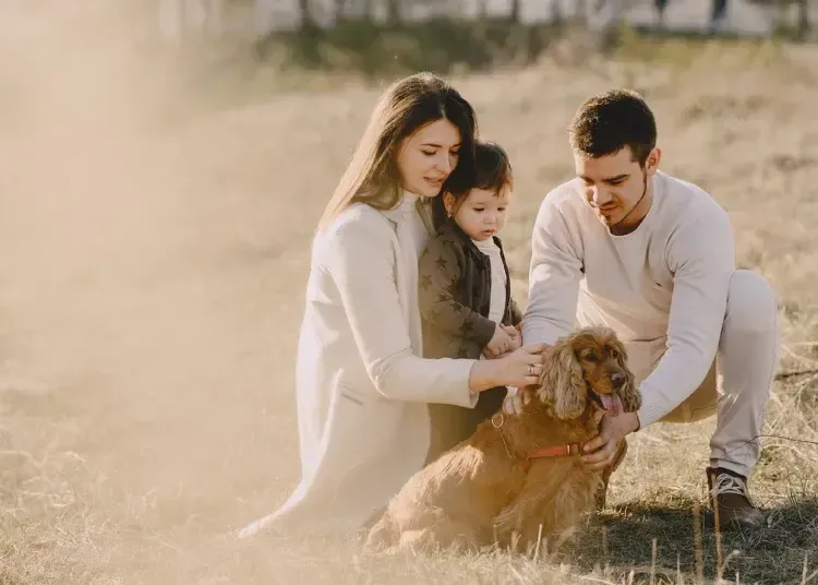 День батьків 2025: приємні привітання на 1 червня