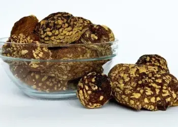 Потенціал мікродозингу королівського мухомора для концентрації та ясності розуму