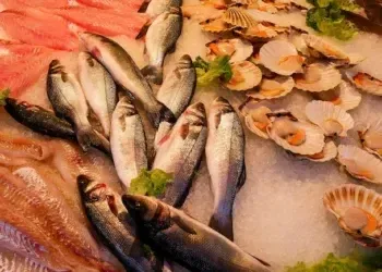 Зелень и рыба оптом – как купить хорошего качества и недорого