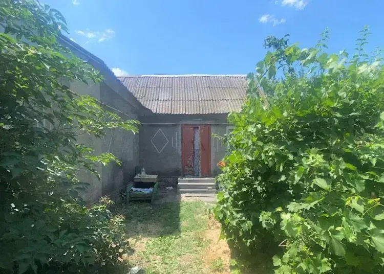 Дім підозрюваної у Покровській громаді, де сталося вбивство 9 липня