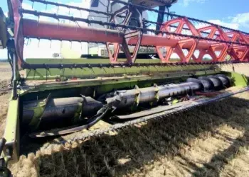 На Дніпропетровщині росіяни вбили 40 голів свійських тварин