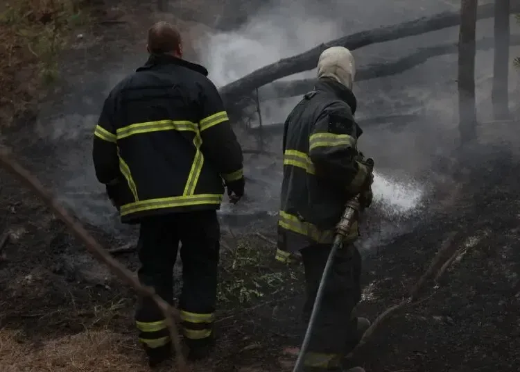 У Дніпрі масштабну лісову пожежу гасили майже добу