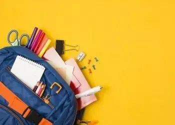 Де купити канцтовари оптом: вигідні рішення для бізнесу, офісу та школи
