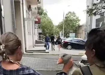 Скандал у Дніпрі: жінки вивезли гусака з яхт-клубу для фотосесії