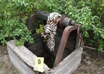 У Криворізькому районі чоловік задушив жінку, і скинув тіло у колодязь