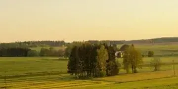 Кадастровий номер