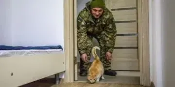 Військовим на Дніпропетровщині не здають в оренду житло: деталі