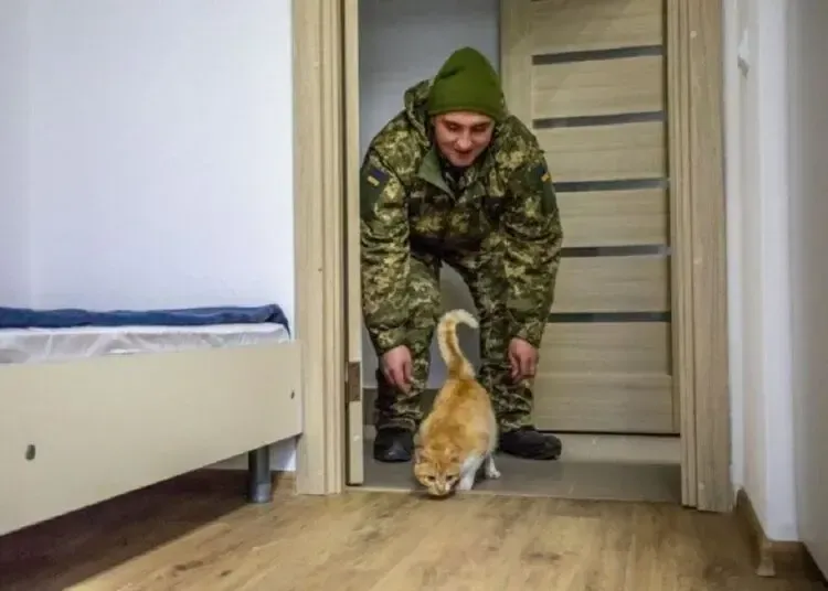 Військовим на Дніпропетровщині не здають в оренду житло: деталі