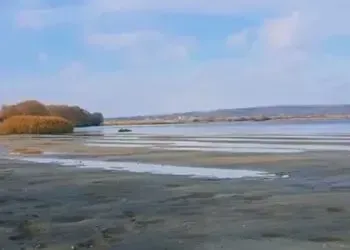 На Дніпропетровщині розгортається екологічна катастрофа